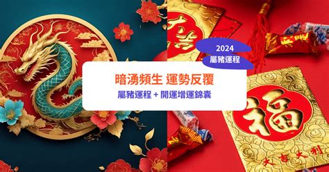 2024屬豬運勢|【屬豬2024生肖運勢】暗湧頻生，運勢反覆｜屬豬運 